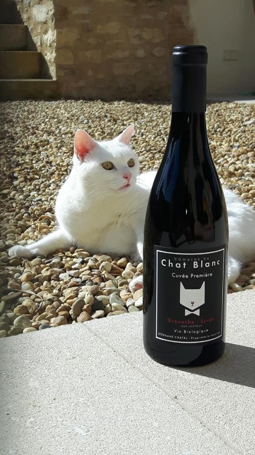 Le Cottage Du Chat Blanc Saint Didier  Exterior foto