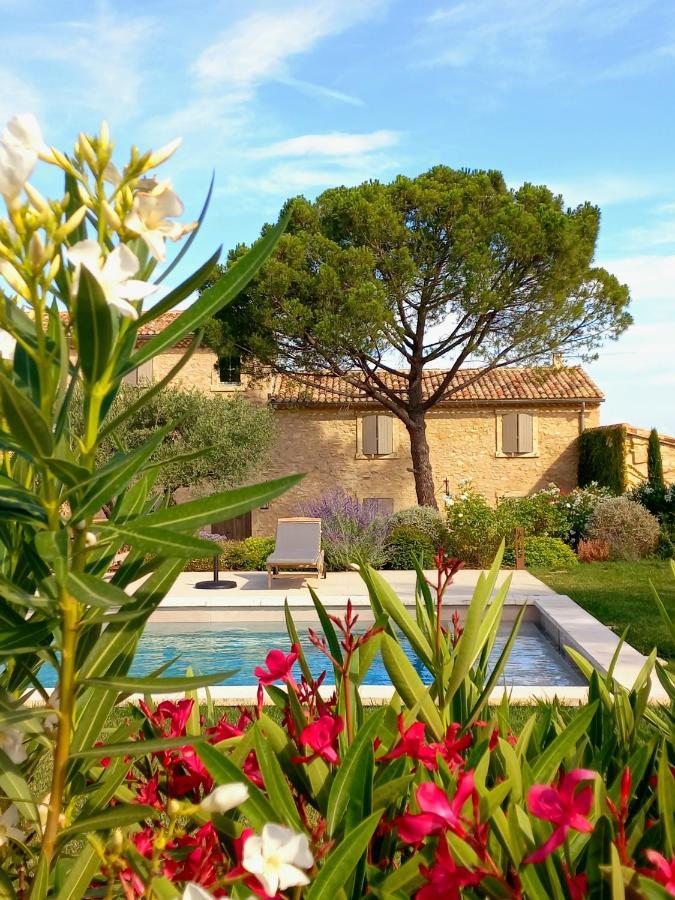 Le Cottage Du Chat Blanc Saint Didier  Exterior foto